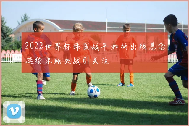 2022世界杯韩国战平加纳出线悬念延续末轮决战引关注